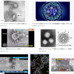 人はウイルスで破滅する。コロナウイルス新型肺炎で武漢封鎖
